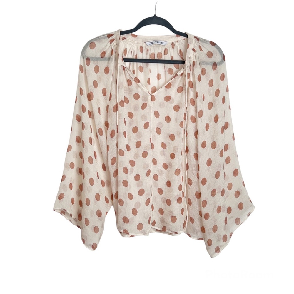 Zara Sheer Mesh Polka Dot Oversized Blouse XS